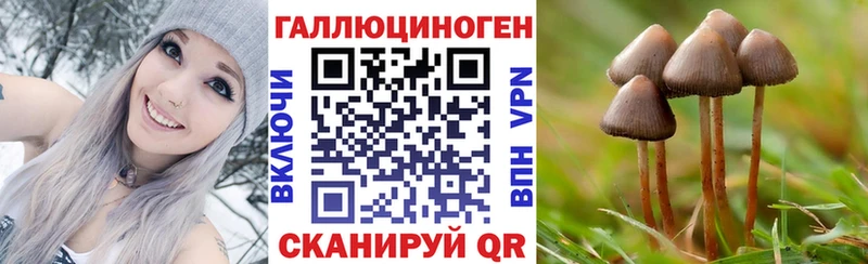 Купить  Сертолово  Псилоцибиновые грибы GOLDEN TEACHER 