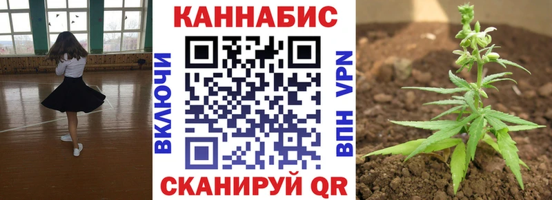 Шишки марихуана планчик  Купить закладки  Сертолово 